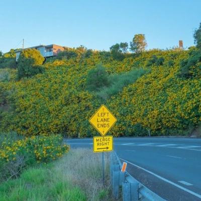 爱游戏体育投注网页版登录截图